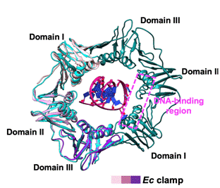 http://www.dyyy.xjtu.edu.cn/__local/5/93/59/D2FF884BA69257C452948F3AAC8_BDDA9215_13970.png
