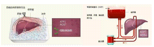 http://www.dyyy.xjtu.edu.cn/__local/B/61/57/B7867B6ACBCAFFE2E7521E32DC2_D5591C1E_4DE0A.png