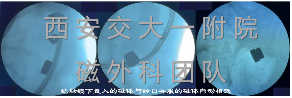 http://www.dyyy.xjtu.edu.cn/__local/A/EE/D2/5FA391B5FCBA11B12CA4D3F320A_44124E59_5F969.png