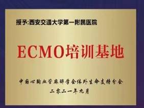 http://www.dyyy.xjtu.edu.cn/__local/E/FD/D7/7E3C92CFA9C0370614ABA20315A_0524B707_2204.jpg
